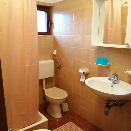 Olga Appartement *